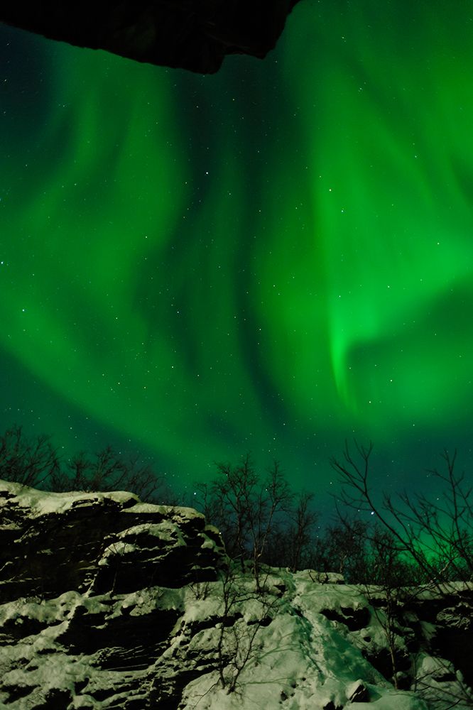 Sweden-Norrbotten-Abisko. Aurora Borealis (Northern Lights) above Abisko canyon.